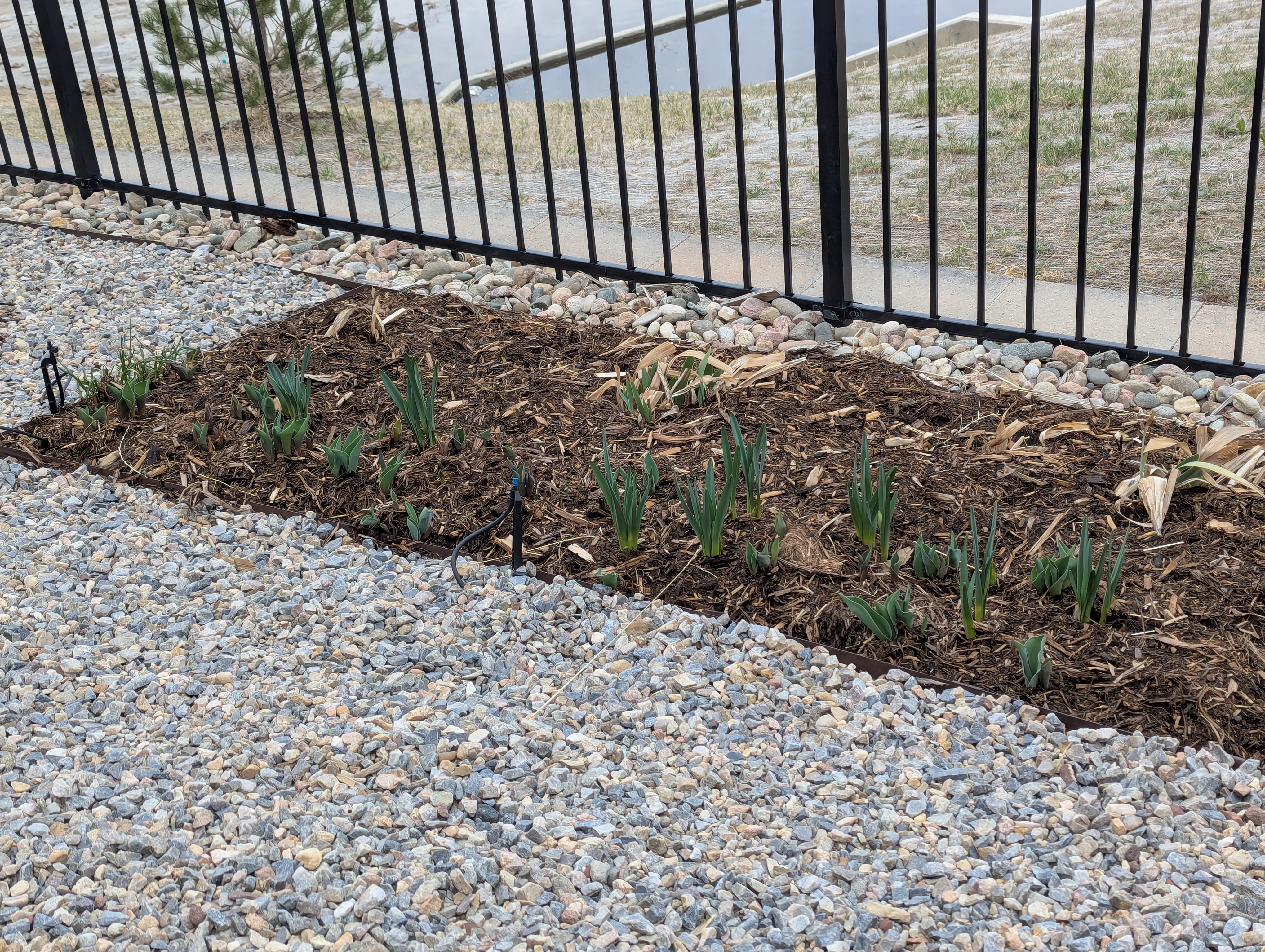 Garden, Morrison, Colorado